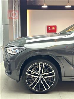 بي ام دبليو X6